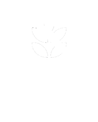 3 gluten free biteme nutrition bar